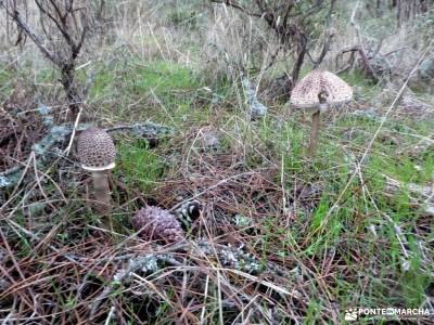 Parque Natural del Alto Tajo-Valle de los Milagros;cañon de rio lobos rutas ruta de los cuchillos ho